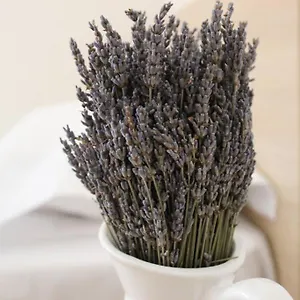  Appartamento Lavandula Ring